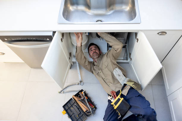 Best Clogged Drain Plumber  in Coal Run Village, KY